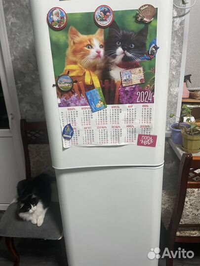 Пролам холодильник индезит