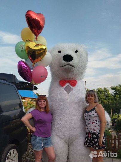 Белый мишка поздравление