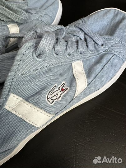 Кеды lacoste 39