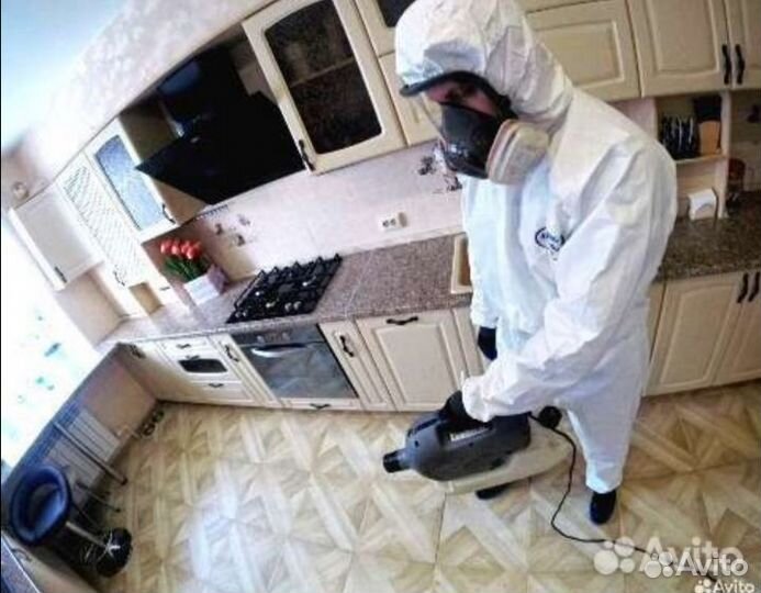 Уничтожение клопов тараканов мышей блох плесени