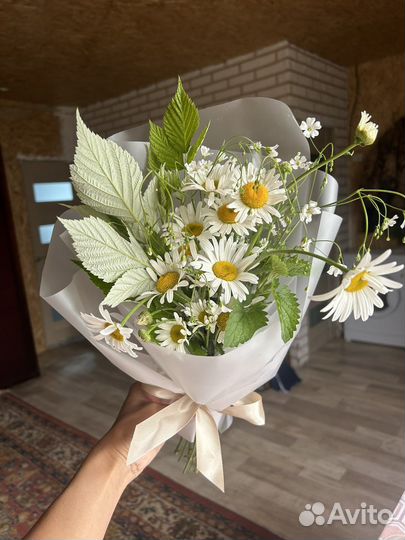 Букет из ромашки и гипсофилы садовой