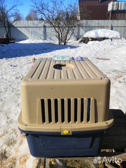 Переноска для большой собаки