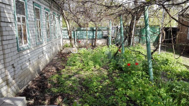 Дом 50 м² на участке 5,2 сот.