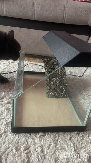 Террариум для черепахи