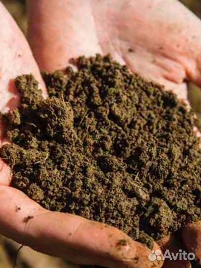 Плодородная почва