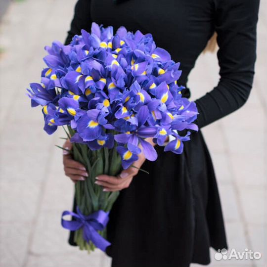 Ирисы в Букете. Свежие Цветы