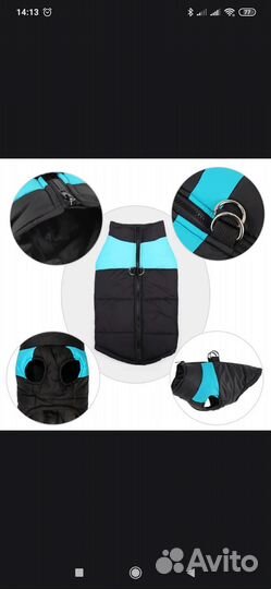 Одежда для собак новая