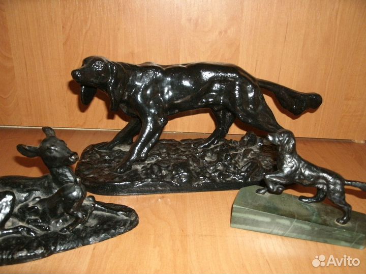 Сеттер Касли