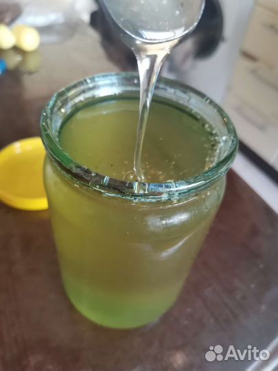 Майский мед 2023