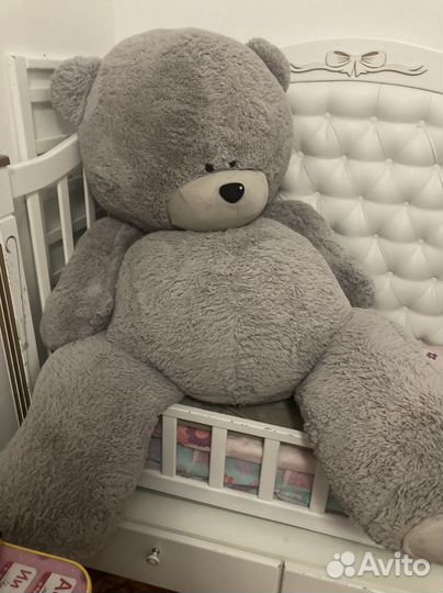 Большие плюшевые медведи
