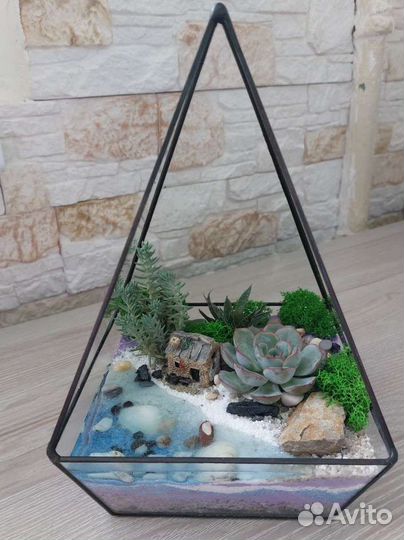 Флорариум с суккулентами