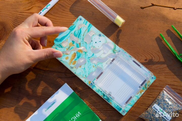 Ферма с муравьями / Формикарий