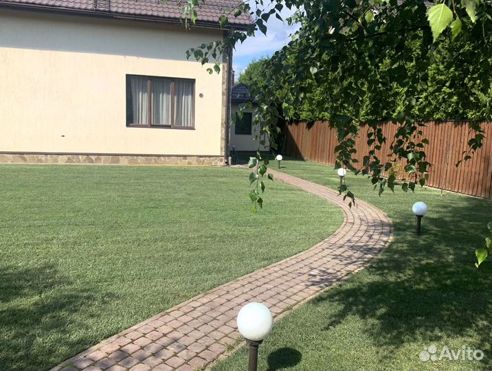 Рулонный газон