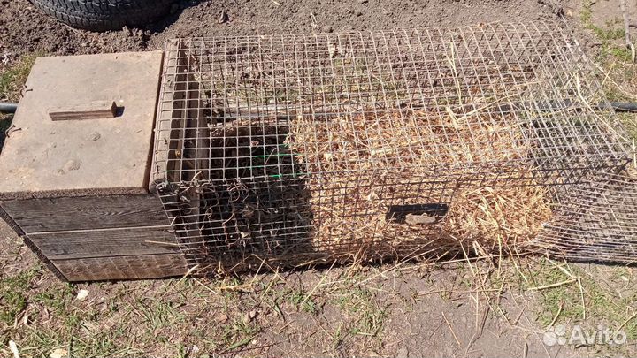 Клетка для кролика