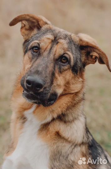 Кто потерял своего Ангела