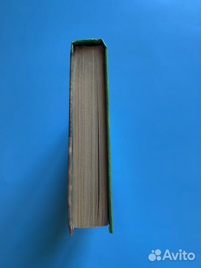 Ваши домашние любимцы