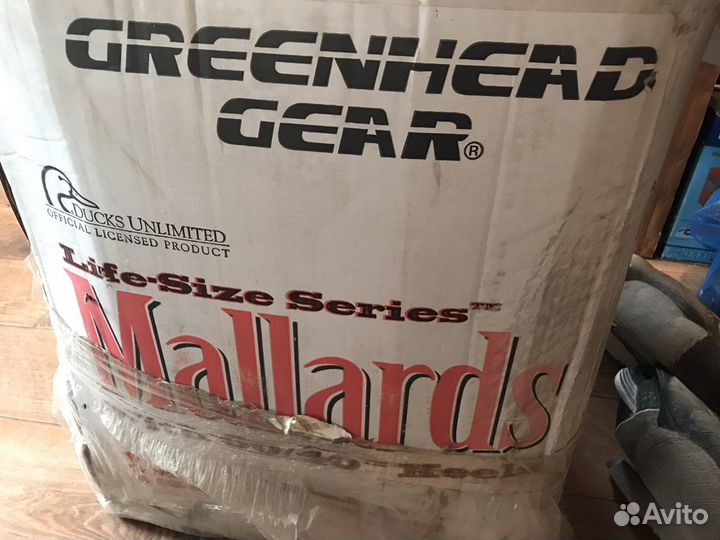 Чучела уток greenhead