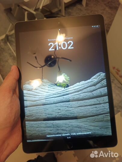 iPad