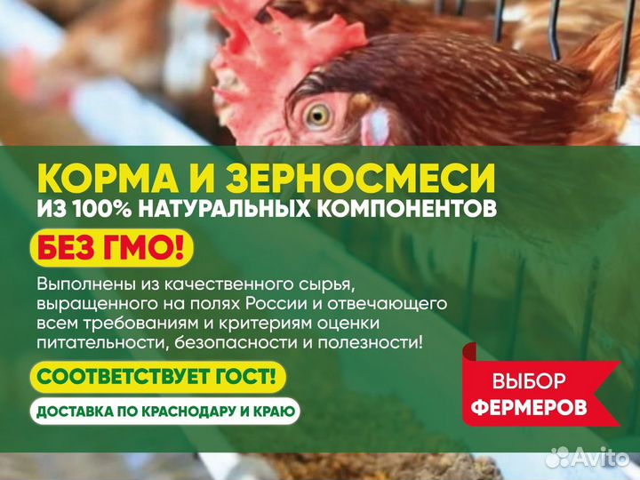 Комбикорм для кур рост