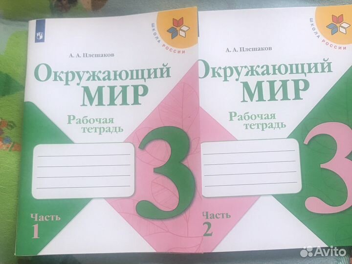 Окружающий мир плешаков 3 кл. Рабоч.тетр.1и 2