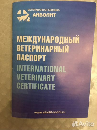 Метис курцхаара