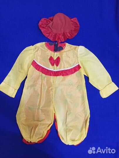 Костюм Божьей коровки