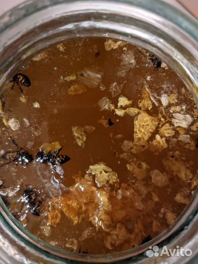 Мед цветочный