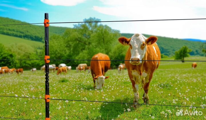 Электро-пастух