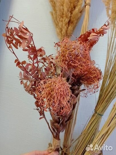 Сухоцветы для рукоделия