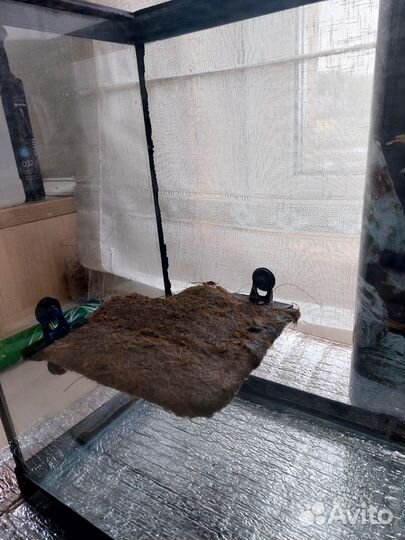 Аквариум 45л(д.65,в.35,г.20)