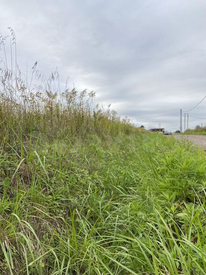 Участок 10,1 сот. (СНТ, ДНП)