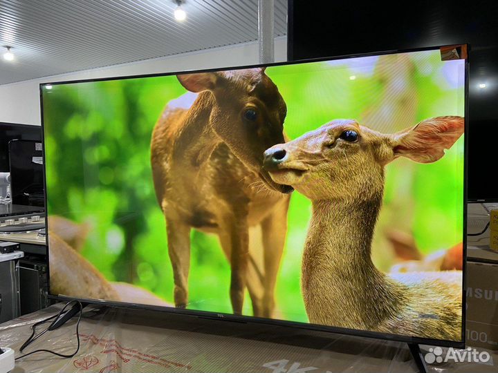 Телевизор TCL 109см