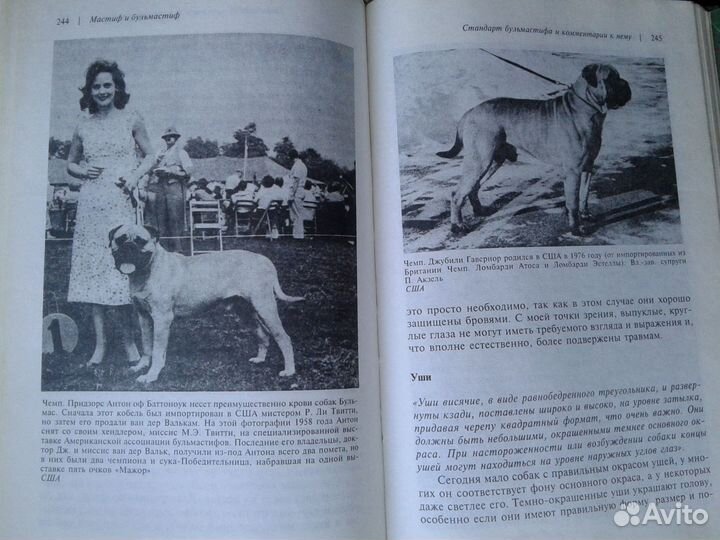 Собаки,кошки