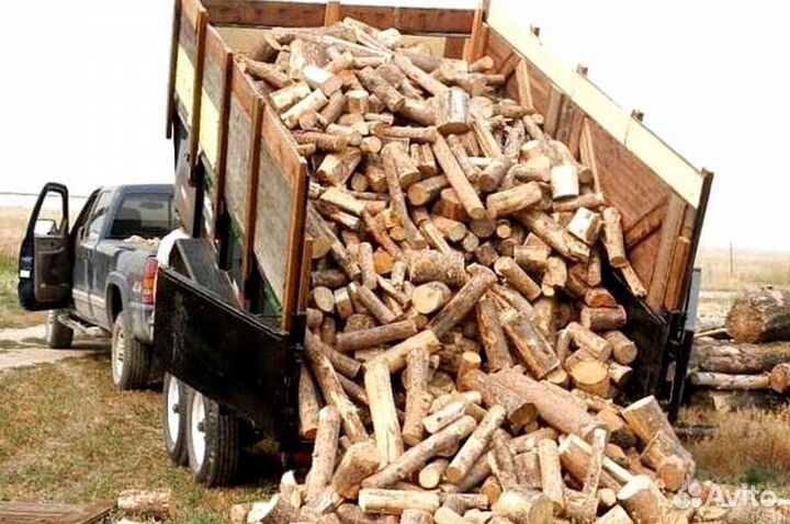 Дрова с Выборга