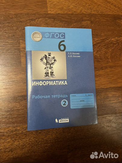 Рабочие тетради (6 класс )