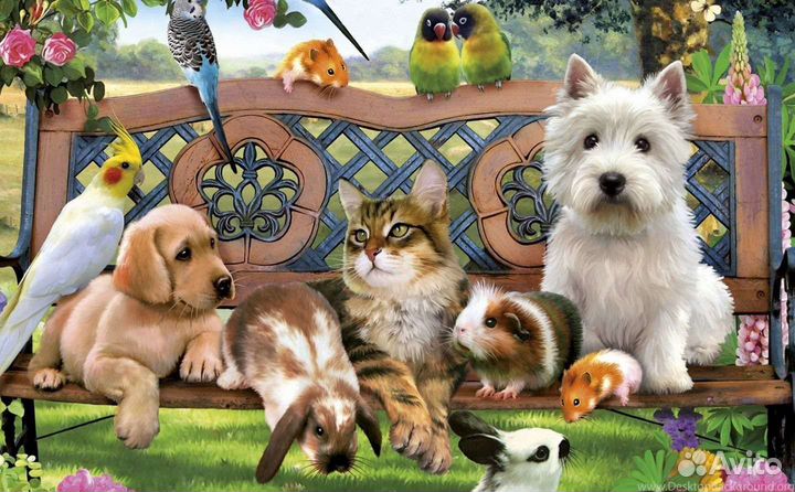 Зоогостиница