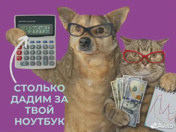 Безупречный Монитор для развлечений и работы