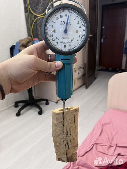 Кости и рога