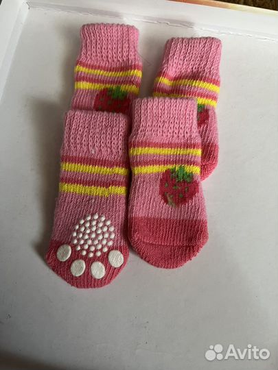 Носки для собак