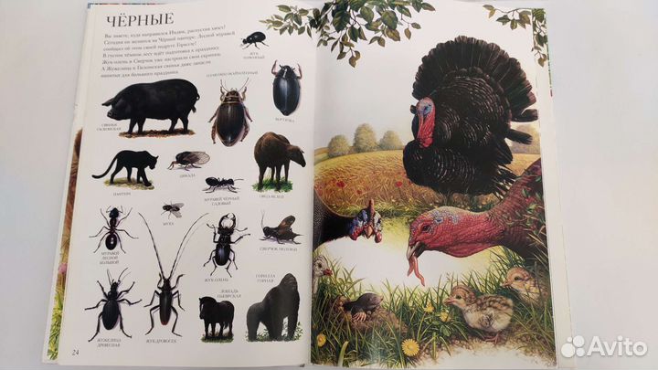 Большой атлас животных