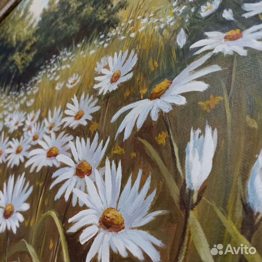 Картина маслом «Ромашки»