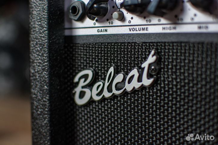 Комбоусилитель гитарный Belcat + аксессуар