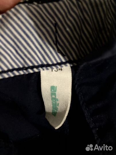 Шорты акула