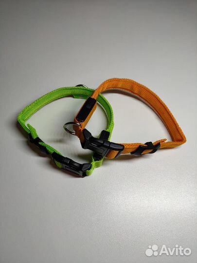 Светящийся ошейник