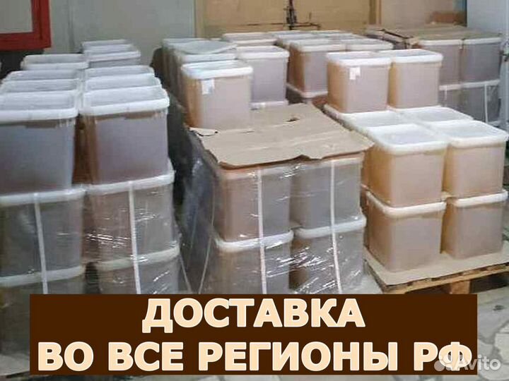 Мёд оптом с Алтая в Люберцах