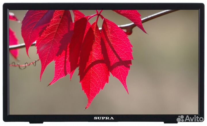 Телевизор Supra STV-LC16740WL, 16