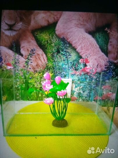 Аквариум,декор
