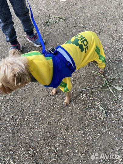 Костюм для собак на флисе