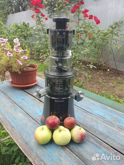 Соковыжималка шнековая redmond RJ-912S