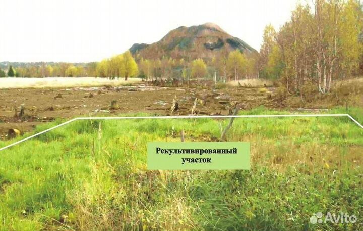 Травосмесь рекультивации.Семена оптом